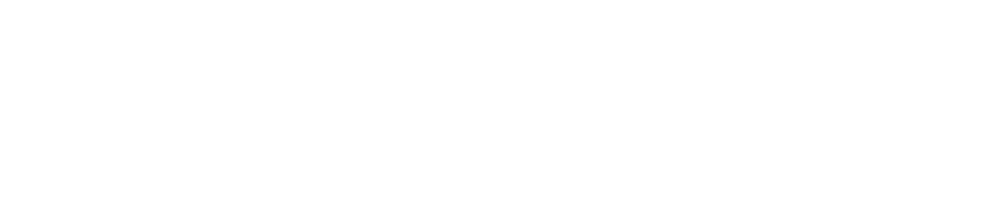 Nano Kart logo