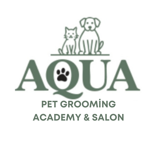 AUQA PET HORSE GROOMİNG